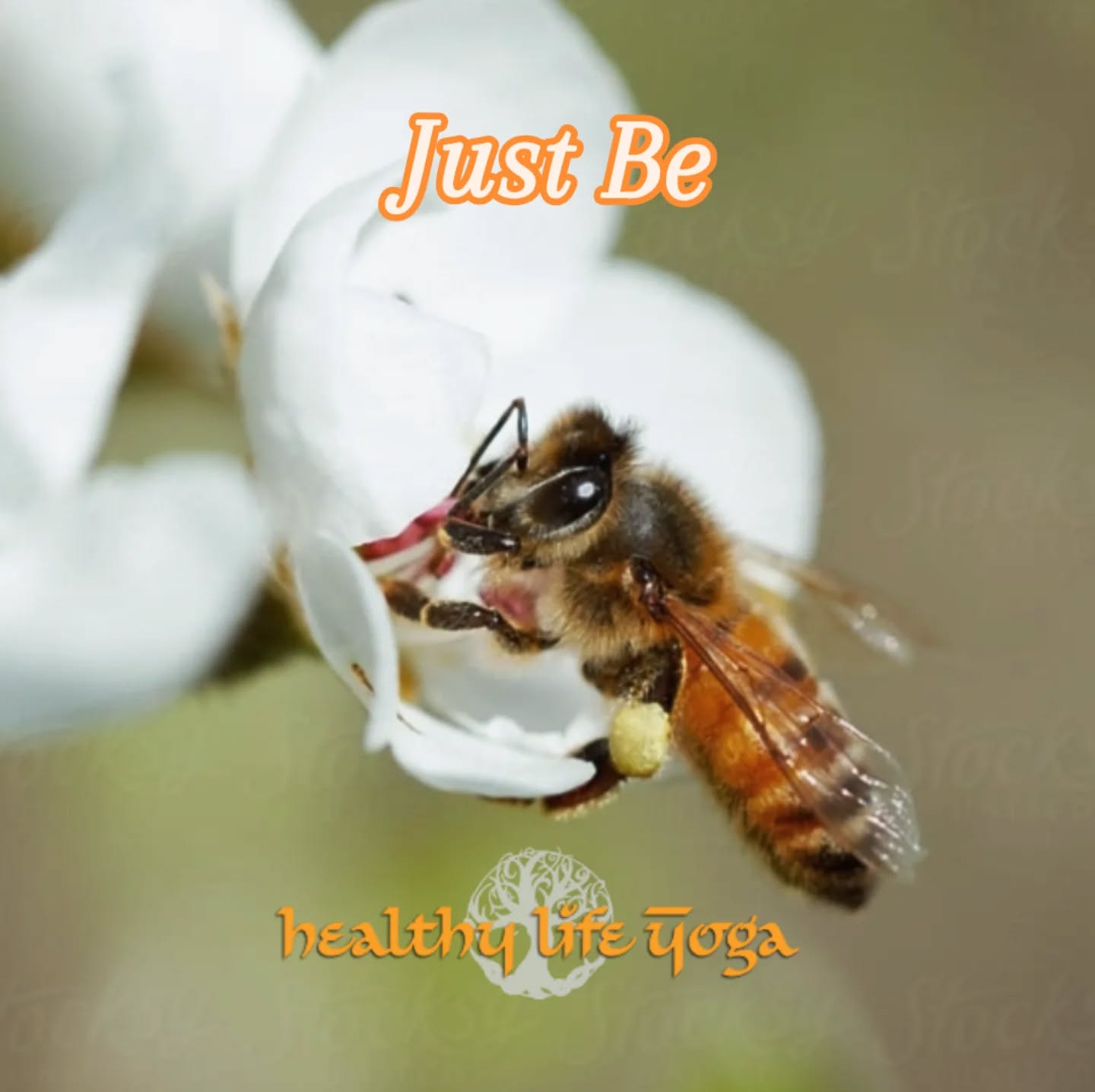 β€ Be bold
π§‘ Be brave enough to be your true self.
π The universe took its time on you
HealthyLifeYoga.com