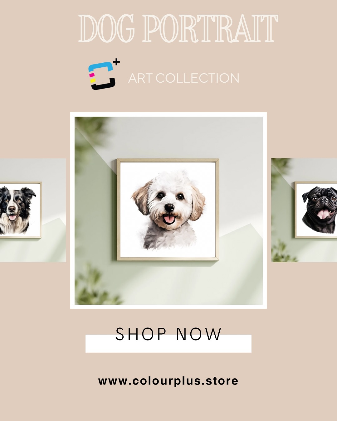🐾 Unleash the cuteness in your home with our adorable dog portraits! 🐶✨ and transform your pace with a heartwarming piece that speaks to your soul. 🎨 Perfect gift for dog lovers or a treat for yourself! Swipe to see some portraits in our collection #DogPortraits #FurryArt #PetLovers #CutenessOverload #HomeDecor https://www.colourplus.store/mounted-frame?Category=Dog%2520Portraits
