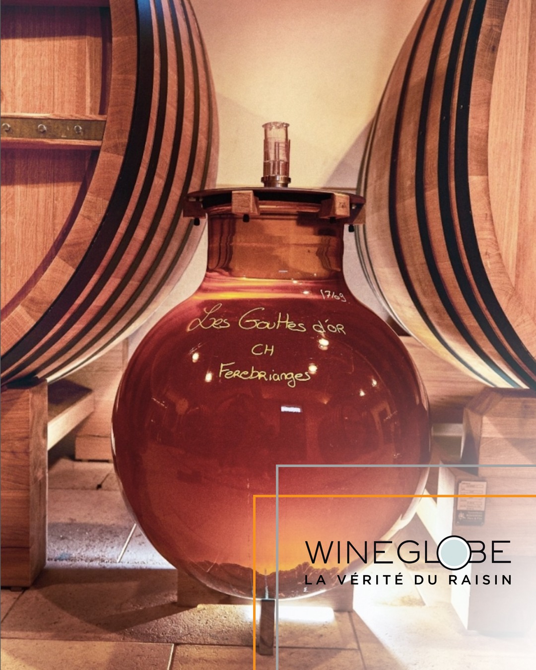 Supplier Spotlight: @wine.globe
Crafted in Bordeaux by the Paetzold family, the Wineglobe is a breakthrough in high-end winemaking. These single-piece borosilicate glass vessels (115L & 220L) offer total neutrality — delivering pure, terroir-driven wines without compromise.
Since 2015, Wineglobes have earned their place in some of the world’s most prestigious cellars, used for fermenting and aging whites, rosés, and reds alike.
Why winemakers choose Wineglobe:
✔️ Pure, unadulterated expression
✔️ Flawless hygiene & easy cleaning
✔️ Reduced SO₂ usage
✔️ No wine loss or topping
✔️ No material interaction — just clarity and control
Hear it from the producers who know it best:
• Louis Dagueneau, Domaine Didier Dagueneau (Loire Valley)
• Stéphane Derenoncourt, Domaine de l’A (Côtes de Bordeaux)
• Domaine Arnaud Ente (Meursault, Burgundy) - @arnaudente
• Frédéric Savart, Champagne Savart (Champagne) - @champagnesavart
• David Suire, Château Laroque (Saint-Émilion)
• Xavier Vignon, Xavier Vins (Châteauneuf-du-Pape)
• Christophe Perrot-Minot, Domaine Perrot-Minot (Morey-Saint-Denis, Burgundy)
💬 Want to hear what they have to say about working with Wineglobe?
Read the full testimonials on our blog — now live on our website, link in bio.