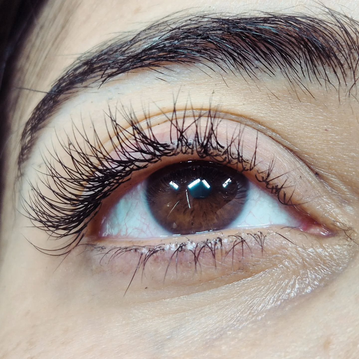Klassiske vipper.#volumelashes #vippeekstensions #eyelashextensionsoslo #oslovipper #volumvipperoslo #vippeextensionsoslo #vipperextensions #vipperoslo #oslovipper #vipper #beautyoslo #vipperoslo #vipperartist#vipperfrogner #classiclashesextensions #eyelashdesign #vipperskøyen #vippermajorstuen #våtevipper #wetlasheseffectoslo#vippeløftoslo #eyelinereffectoslo# eyeshadoweffect #whispylashes#mixvipperoslo#hybridvipperoslo#