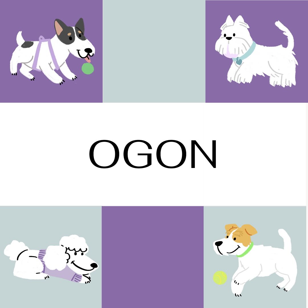 Co może nam mówić ogon naszego pupila?🐾 #dog #pies #psy #zwierzeta #ogon