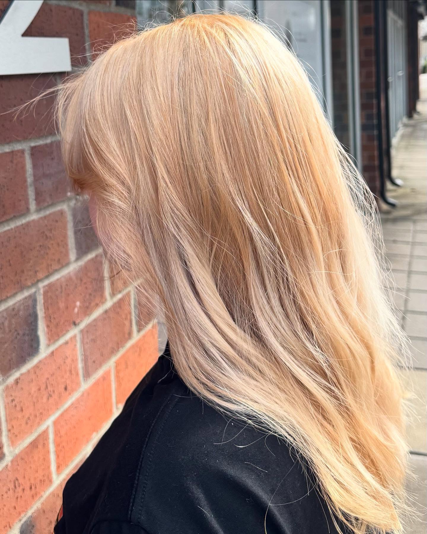 🎨 Color Correction Magic by Katie! 🎨
From “uh-oh” to “OMG, YES!” 😍 Katie worked her magic on this color fix, transforming uneven tones and brassiness into a beautifully blended, vibrant masterpiece! ✨
Color corrections take skill, patience, and an eye for detail—and Katie absolutely nailed it! 🔥 If your hair needs a refresh or a total rescue, she’s got you covered.
💇♀️ Walk-ins welcome or call to schedule!
#ColorCorrection #HairFixByKatie #ThirdDimensionAuburn #GreatHairDay #BeforeAndAfter #HairTransformation