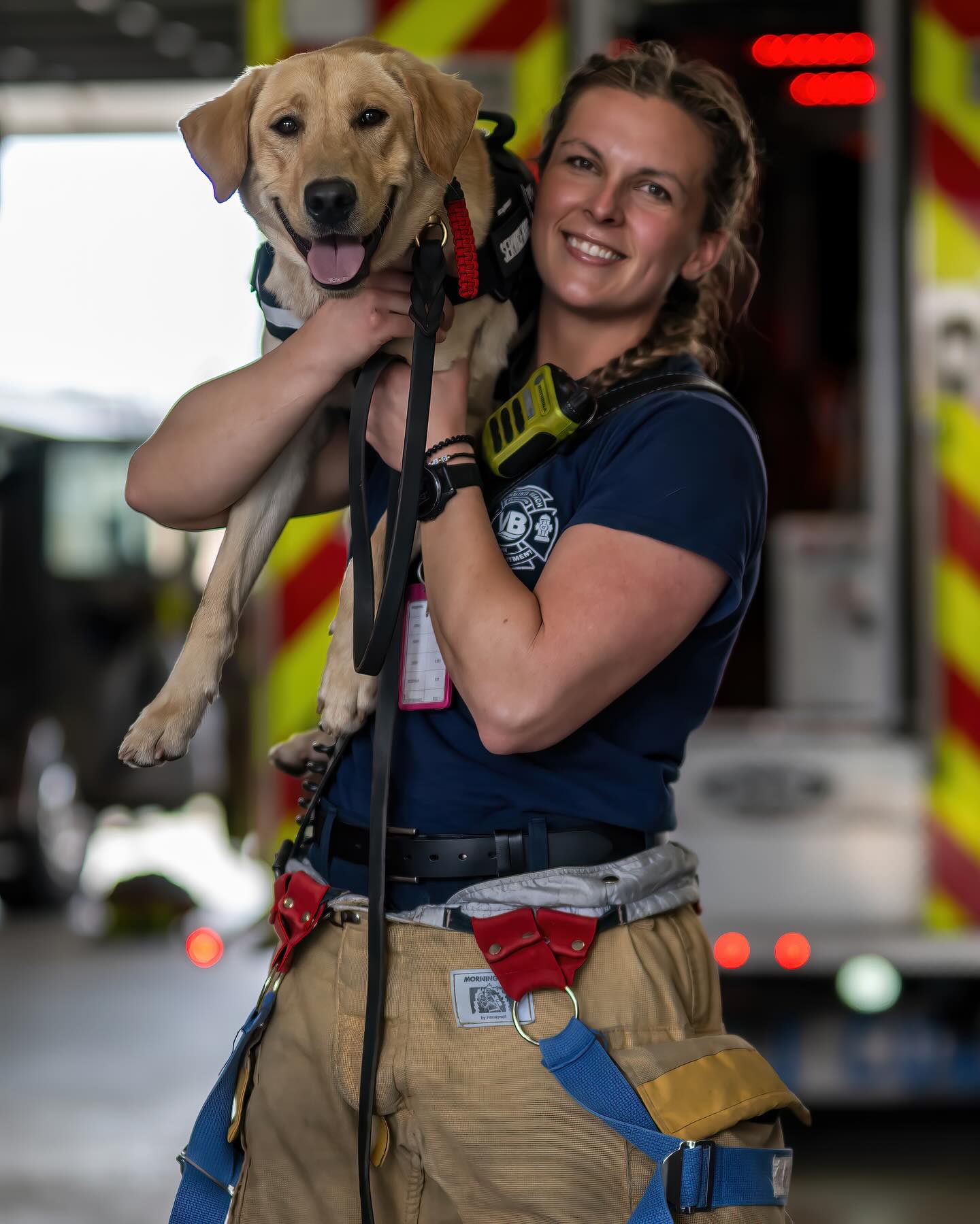 FDK9 Ari now works for the VBFD! 🚒 🔥 🐾🐾Congratulations buddy. Thank you @thackertrainer and @osaki022 📸