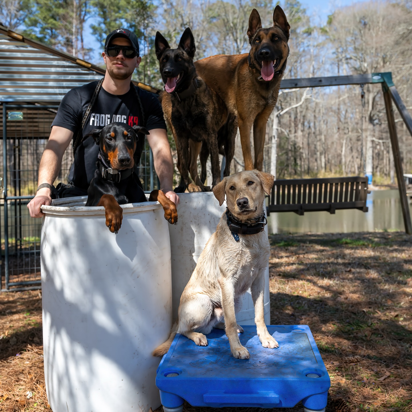 One big, happy, crazy, sometimes functional, many times dysfunctional family!
Comment how many pets you have below!
Photos By: @osaki022
#supportthetroops #k9 #veteranowned #veteran #serviceanimal #suicideawareness #nonprofit #charity #servicedog #usa #patriot #757 #Chesapeake #virginiabusiness #virginiaevents #suicideprevention #Belgianmalinois #therapydog #dutchshepard #mentalhealth #mentalhealthawareness