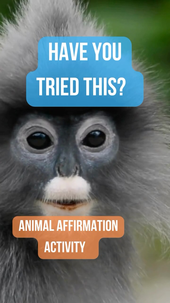 Animal Affirmation Adventure: Zoo Day with Heart!
Looking for a fun and meaningful way to connect with the I Can Be Anything deck? Try bringing it along on your next visit to a conscious zoo or animal sanctuary—somewhere that truly honors and cares for the animals and their habitats.
Here’s a playful idea:
Go on a scavenger hunt! Pull cards from your deck and search for the animals in real life. When you spot one, snap a photo of the card with the animal in the background—it’s a magical moment of connection your little one won’t forget.
One of our all-time favorite spots to do this is @wildanimalsanctuary in Keenesburg, Colorado. This beautiful sanctuary rescues large carnivores from abusive situations and offers them vast, natural habitats where they can finally roam free. It’s a space filled with compassion and care—and the perfect backdrop for your affirmation adventure.
This is more than just fun—it’s powerful. Where we choose to spend our money matters. Supporting ethical, humane animal sanctuaries helps protect these beings and ensures that future generations experience the joy of seeing animals thriving, not just surviving.
When children get to connect with animals who are well cared for, it deepens their empathy, curiosity, and love for all living things. Plus—it turns your outing into a mindful, meaningful adventure.
Let us know if you try it! We’d love to see your Animal Affirmation scavenger hunt photos.
#ICanBeAnything #AnimalAffirmationAdventure #MindfulZooTrip #LittleLuminariesMagic #WildAnimalSanctuary #ConsciousParenting