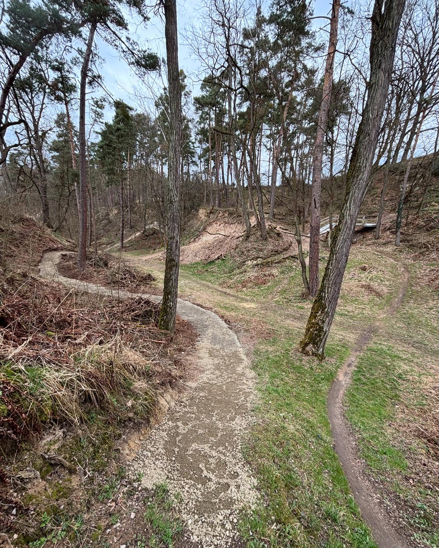 🆕Letošní novinka
- sjezd do rokle pro mladší kategorie je odkloněn do levé části a připojení se na trasu ostatních
- zmeněn výjezd na mostík
🇬🇧
🆕 News on track
- downhill for younger categories is on the left side and it is continued on the new section and connected to track
- changed uphiil to brifge