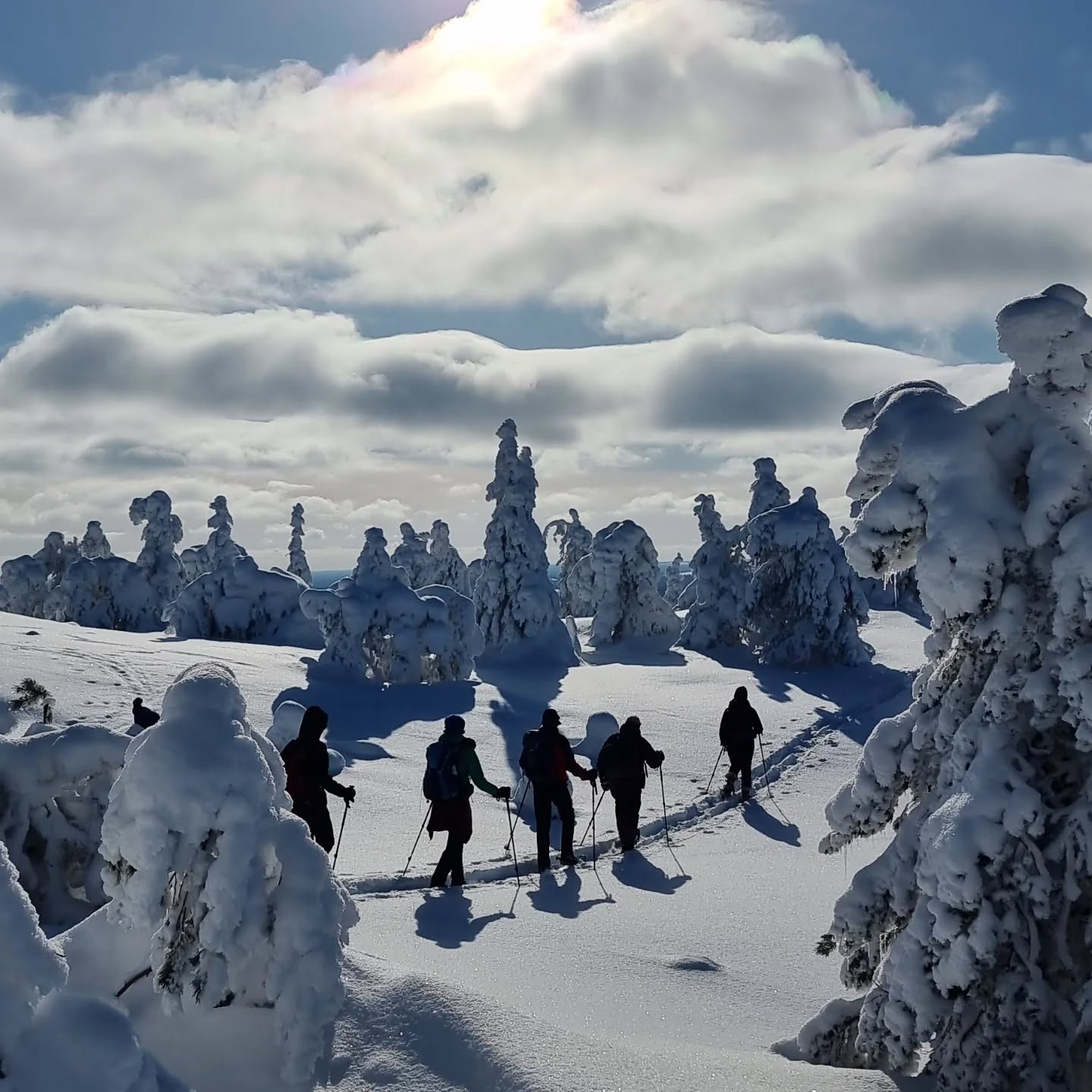 ❄️ Winter, you were wonderful again! ❄️
What an amazing season we've had adventuring through snowy trails in Riisitunturi, Salla, and Oulanka National Parks. A heartfelt thank you to all our lovely guests – you made this winter truly special 💙
Here are just a few memories from our trails:
🌲 Guide Heli shared her love for the Moomins
🥣 Trainee Piritta surprised guests with Mämmi – that unique Finnish treat
📸 Sometimes days turned into evenings, as the landscapes kept calling for "just one more photo"... and if we waited long enough then the northern lights lit up the sky ✨
And yes – every single day gifted us snow, trees, and nature’s quiet magic.
We’re already dreaming of next winter. Hope to see you again! 🤍
'Mit jedem Schritt tiefer in den Winterzauber...
Schneeschuhwandern im Riisitunturi-Nationalpark ist wie ein Spaziergang durch ein finnisches Wintermärchen!' Verschneite Bäume, stille Pfade und manchmal sogar Nordlichter am Horizont – einfach unvergesslich! 💙
Danke an alle, die diesen Winter mit uns unterwegs waren – ihr seid die Besten! 🥰 Und gute Neuigkeiten: Nächsten Winter könnt ihr wieder mit uns auf Tour gehen – gemeinsam mit dem @davsummitclub !
#LaplandAdventures #RiisitunturiNationalpark #SallaNationalPark #OulankaMagic #OulankaNationalPark #WinterMemories #MyTrail #Finland #SnowyTrails #NatureLovers #VisitLapland #ThankYouGuests #DAVSummitClub #Snowshoeing #Kuusamo #schneeschuhwandern #Winterwandern #Riisitunturi #sustainabletourism
#sustainabletravel
#sustainabletravelfinland