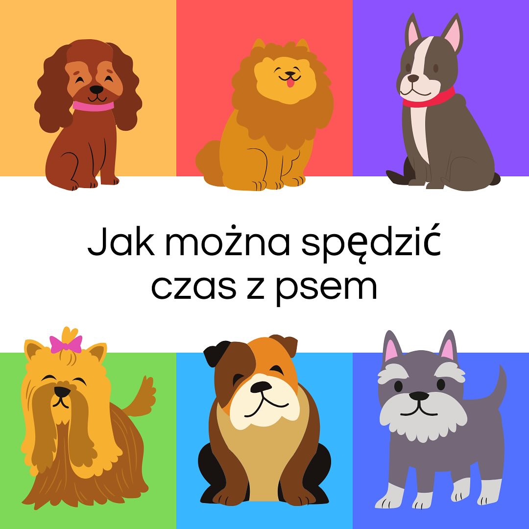 Oto kilka sposób jak owocnie spędzić z czas ze swoim czworonogiem🐶 #dog #dogs #pies #psy #opieka #zabawa #psiak