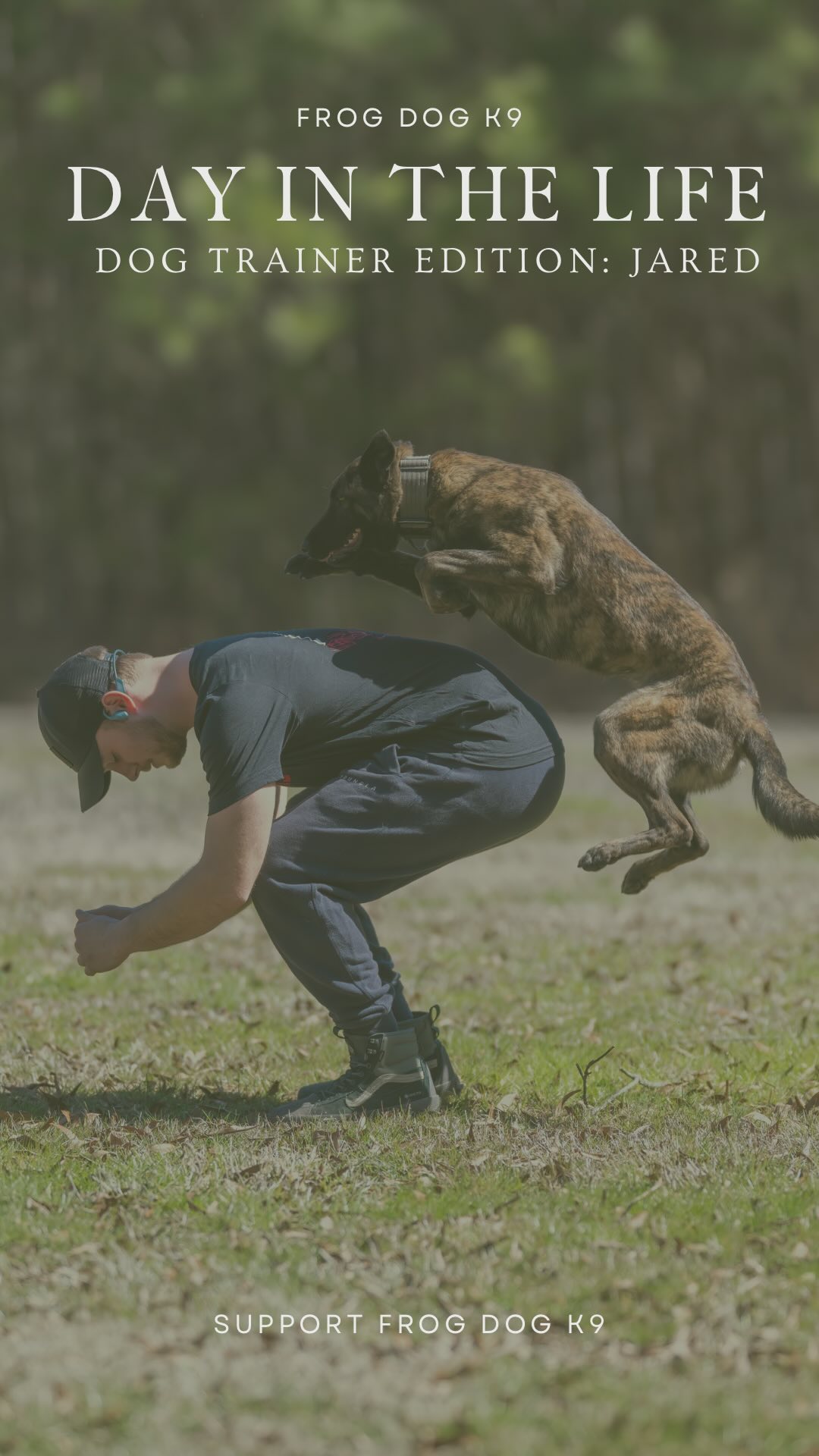 Little glimpse of a day in the life of a FDK9 trainer!
Debating on whether or not we should do more of this style of content? let us know in the comments.
#supportthetroops #k9 #veteranowned #veteran #serviceanimal #suicideawareness #nonprofit #charity #servicedog #usa #patriot #757 #Chesapeake #virginiabusiness #virginiaevents #suicideprevention #Belgianmalinois #therapydog #dutchshepard #dayinthelife #dogtrainer