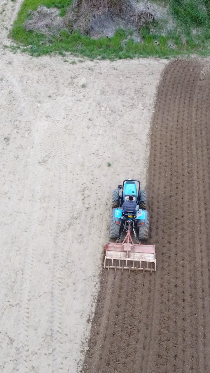 Una buona preparazione del letto di semina fa piú di metà della produzione
Patate 2025
#oltrepo #vallestaffora #montagna #patate #landini #tramonto #patate #biologico #landini #agricoltura #pietragavina