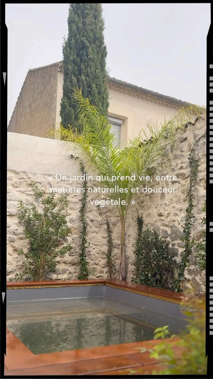 Arborer un patio, c’est lui donner vie 🌿
Pour ce beau projet, nous avons été sollicités pour réaliser la plantation et apporter une touche végétale à cet espace déjà sublimé par le bois et la pierre naturelle ✨
L’objectif : créer un cadre verdoyant, intime et apaisant autour du bassin.
Nous avons sélectionné avec soin des végétaux adaptés :
🌴 Un palmier pour la verticalité et l’exotisme
🌿 Des grimpantes pour habiller les murs de pierre
🌳 Des arbustes pour structurer et équilibrer l’ensemble
Un écrin de verdure en plein cœur de la ville, qui évoluera naturellement au fil des saisons, pour un rendu toujours plus vivant.
#plantation #paysagiste #amenagementexterieur #jardinurbain #terrassebois #pierresnaturelles #patio #jardinmediterraneen #vegetalisation #designvegetal #piscineurbaine