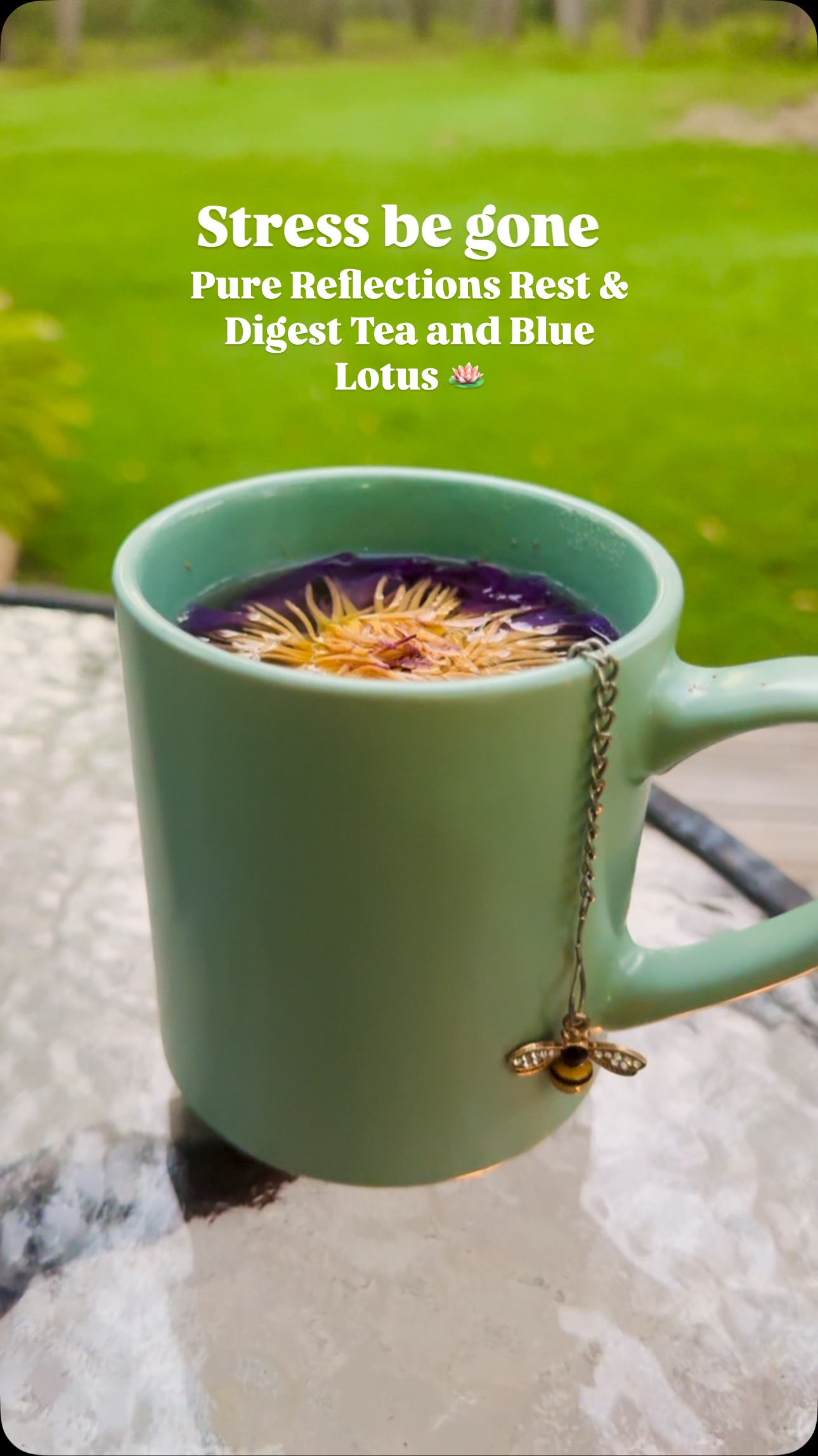 A much needed way to end the day…
Organic Rest & Digest Tea made with lemongrass, ginger, fennel, chamomile and peppermint to help settle the mind and body from a busy day.
I added our Premium Blue Lotus flowers to aid with sleep and heighten spiritual awareness and third eye clarity.
There’s a reason blue lotus is called “the gateway to the divine” 😉
Try this dynamic duo for yourself.
View our shop on Instagram and Facebook or read more at our website: https://www.agneswatermobilespamassage.com/category/all-products
#bluelotus #bluelotusflower #bluelotustea #stresstea #digesttea #parasympatheticnervoussystem #downregulation