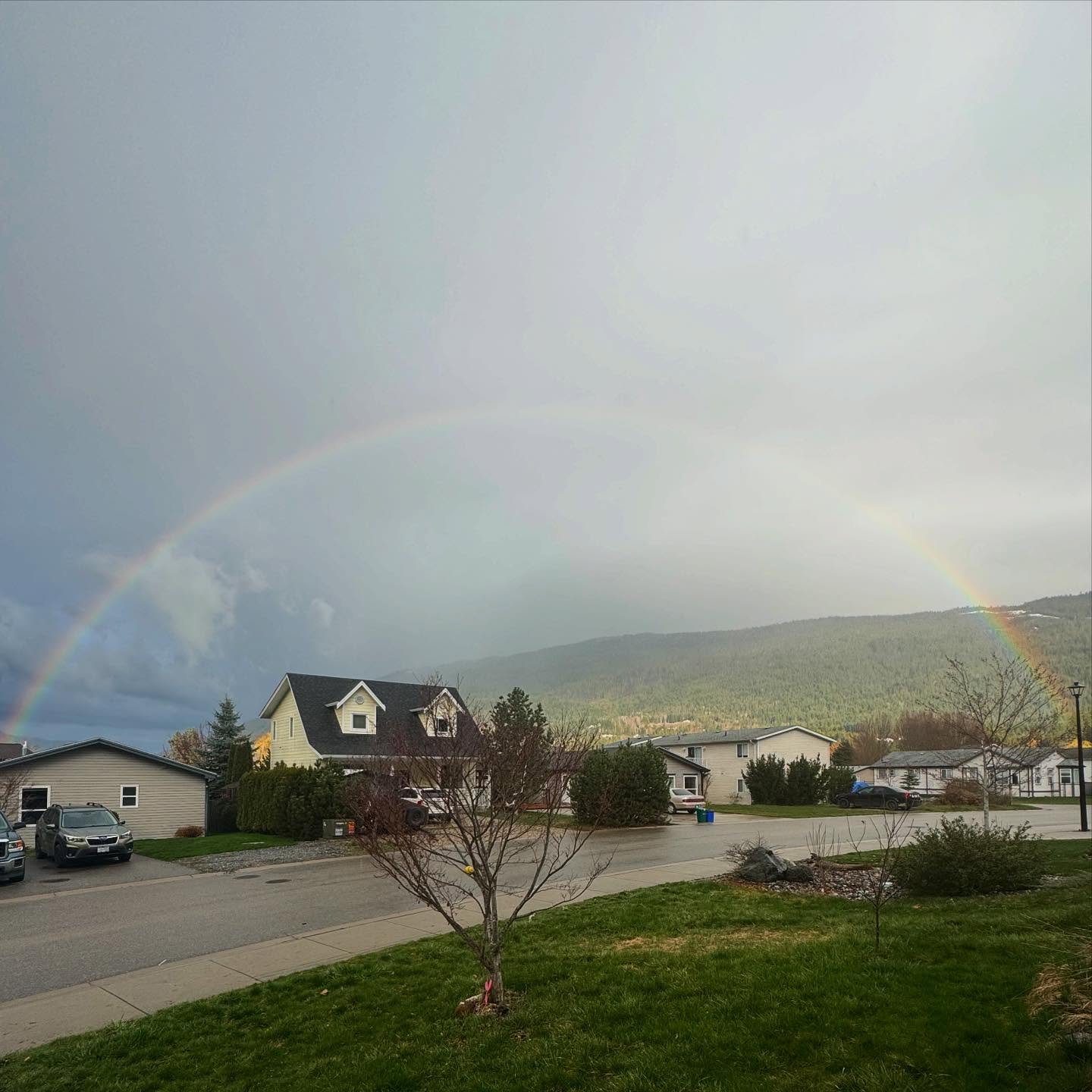 Dark clouds and sunshine bringing us blessings in the sky. 🌈
Full rainbow in Canoe tonight after a pretty wild last 24 hours ☔️
#rainbow #fullrainbow #canoe #blessings #sky #darkclouds