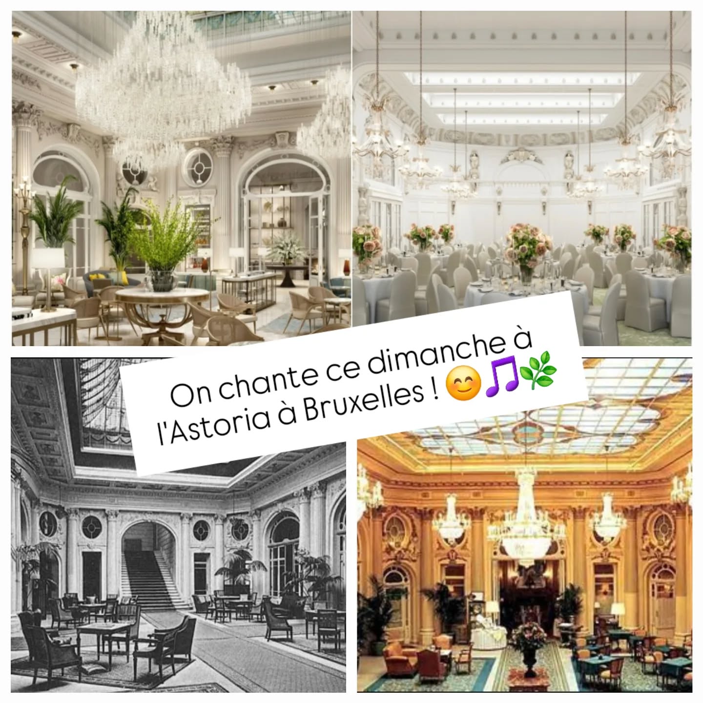 Trooop heureux.ses de chanter ce dimanche dans ce magnifique endroit qu'est l'Astoria : un palais luxueux chargé d'histoire...
Merci beaucoup @martinemergeay pour cette très belle opportunité 😊🙏
Vous pouvez prendre vos places sur le site de l'hôtel :
https://www.corinthia.com/fr-fr/brussels/concerts/
#musique #quartet #ensemble #vocal #quatuor #joie #palais #harmonies #dimanche #music #aventure #voice