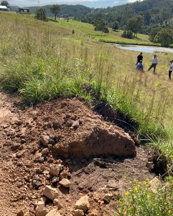 I had a blowout. After a 200ml rain event a couple of months after I built this contour and gully pond in Gloucester NSW. Mother Nature got me on this one. @tarwynparktraining