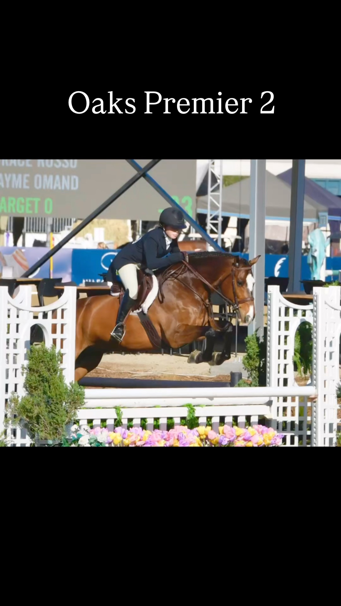So excited to be back at the Oaks showing with @jump_nee π€©π₯°
This show management and facility never disappoints!! π