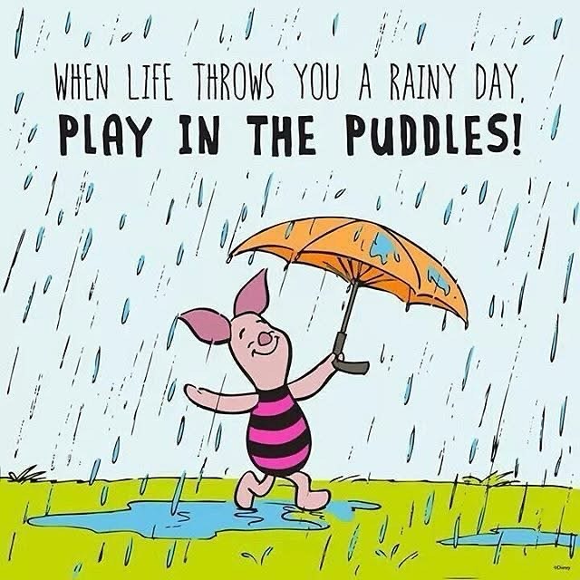 Happy Monday and welcome back! When youโre done playing in the puddles today, make sure to come play at gymnastics! Canโt wait to see all the smiling faces back in the gym! ๐๐