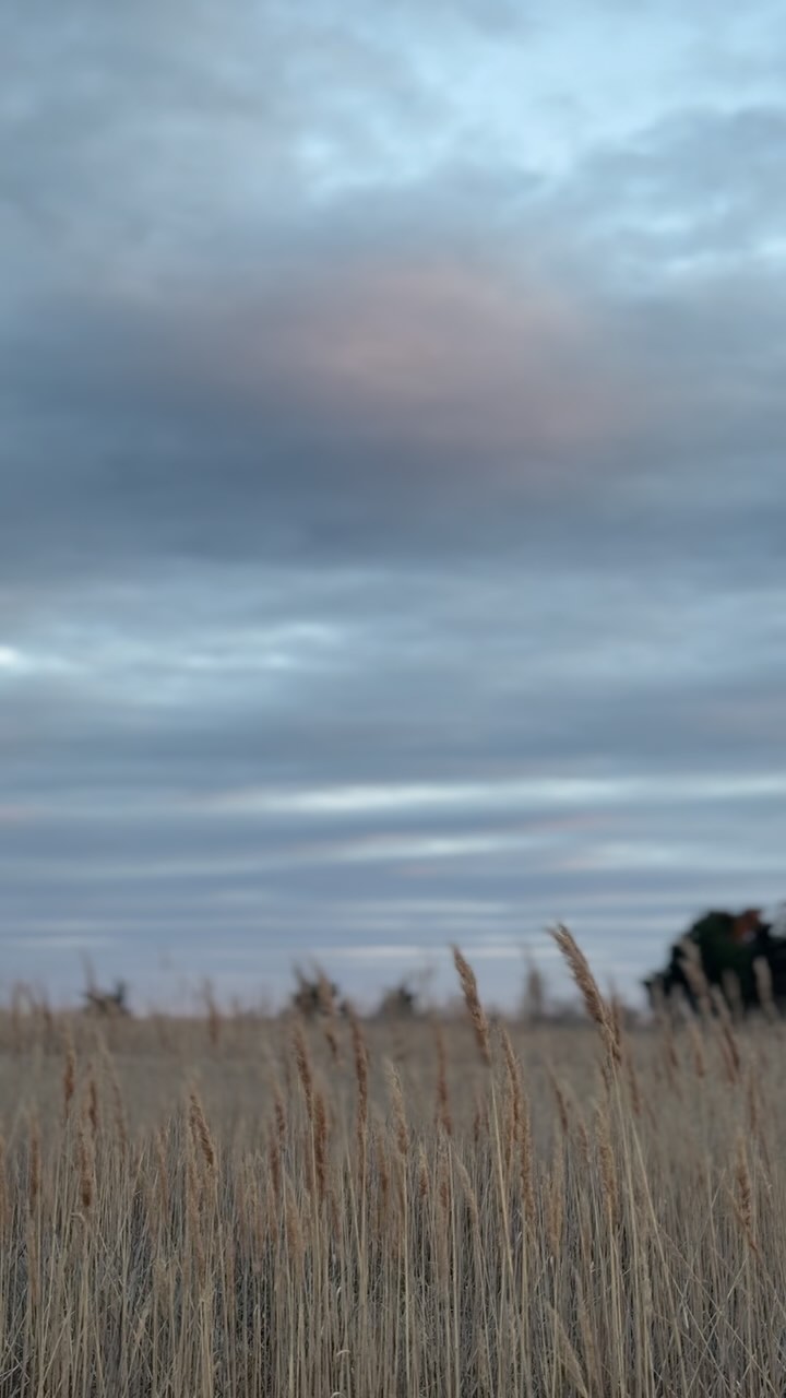 Sundays are becoming my favorite