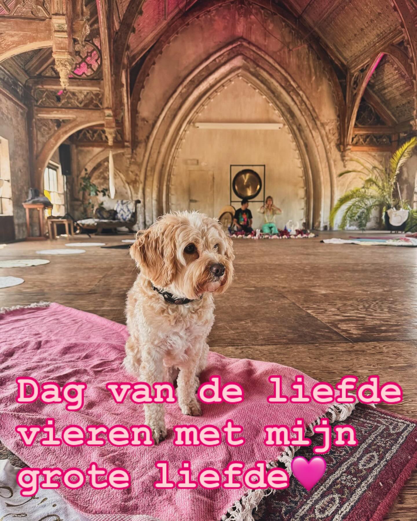 Wat een bijzondere dag! Let love rule🧡 samen met @mdvatelier @lightcodealchemy op zo’n magische plek!