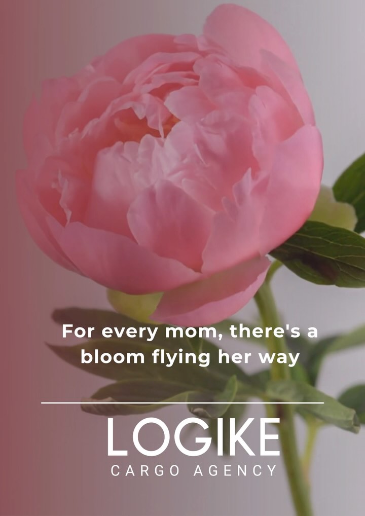 Every stem carries a story. Every box, a hug from afar. 💐
This Mother’s Day, we fly emotions — not just cargo.
To all our partners making this magic possible: thank you for delivering love across skies.
#MothersDay2025 #AirCargoLove #FlowersThatFly #LogisticsWithHeart #LogikeCargo #AirFreight #MothersDayGifts #CargoIsLoveInABox