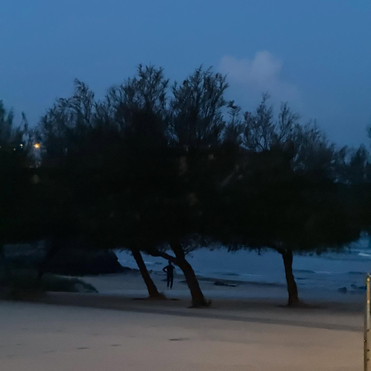 Club(e) quorum is always a good reason to go on record… the homebreak at dawn gave fun little peelers and we got to ride the longer sizes (11’ 10’3 9’8) from the stash… well except for First In First Out who decided to go with a midlength on a diminutive day with a 7’6 … and made it work!
#surfclub #surfboardclub #surfporto #surfwithfriends #surfingwithfriends #surfingwithfriendsisbetter #glidersurfboards #joshhallsurfboards #campbellbrothers #tylerwarrensurfboards #bonzer3 #bonzer #bigboards #singlefin