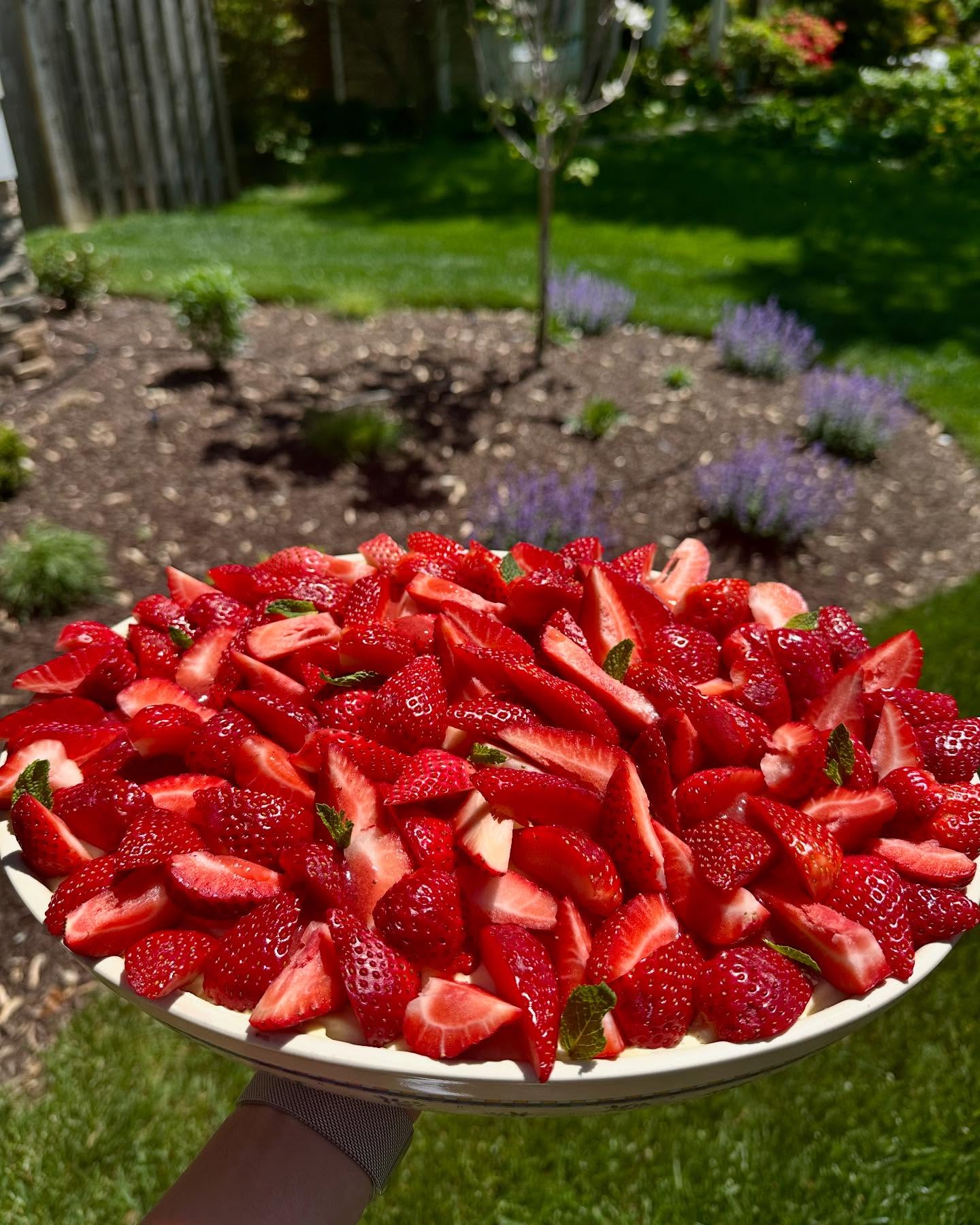 It’s springtime ☀️ with a strawberry mint tiramisu 🍓 !