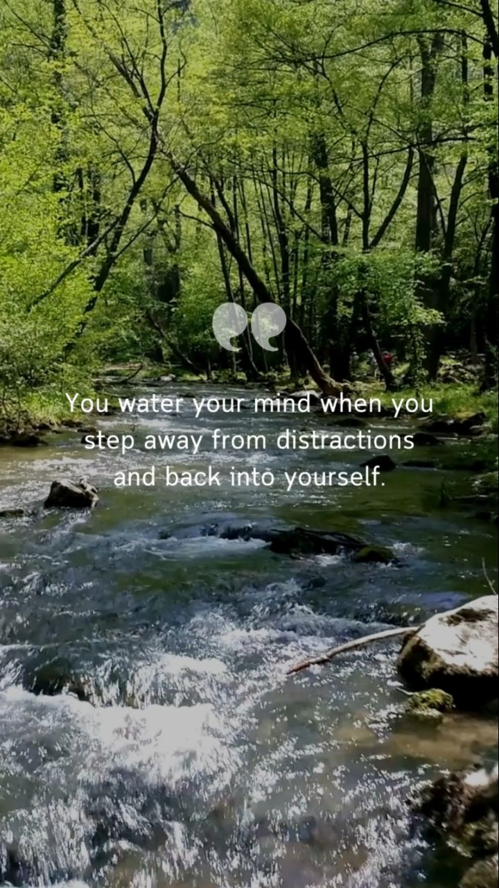 Give your mind the space to bloom. 🌸 #MentalHealthMatters