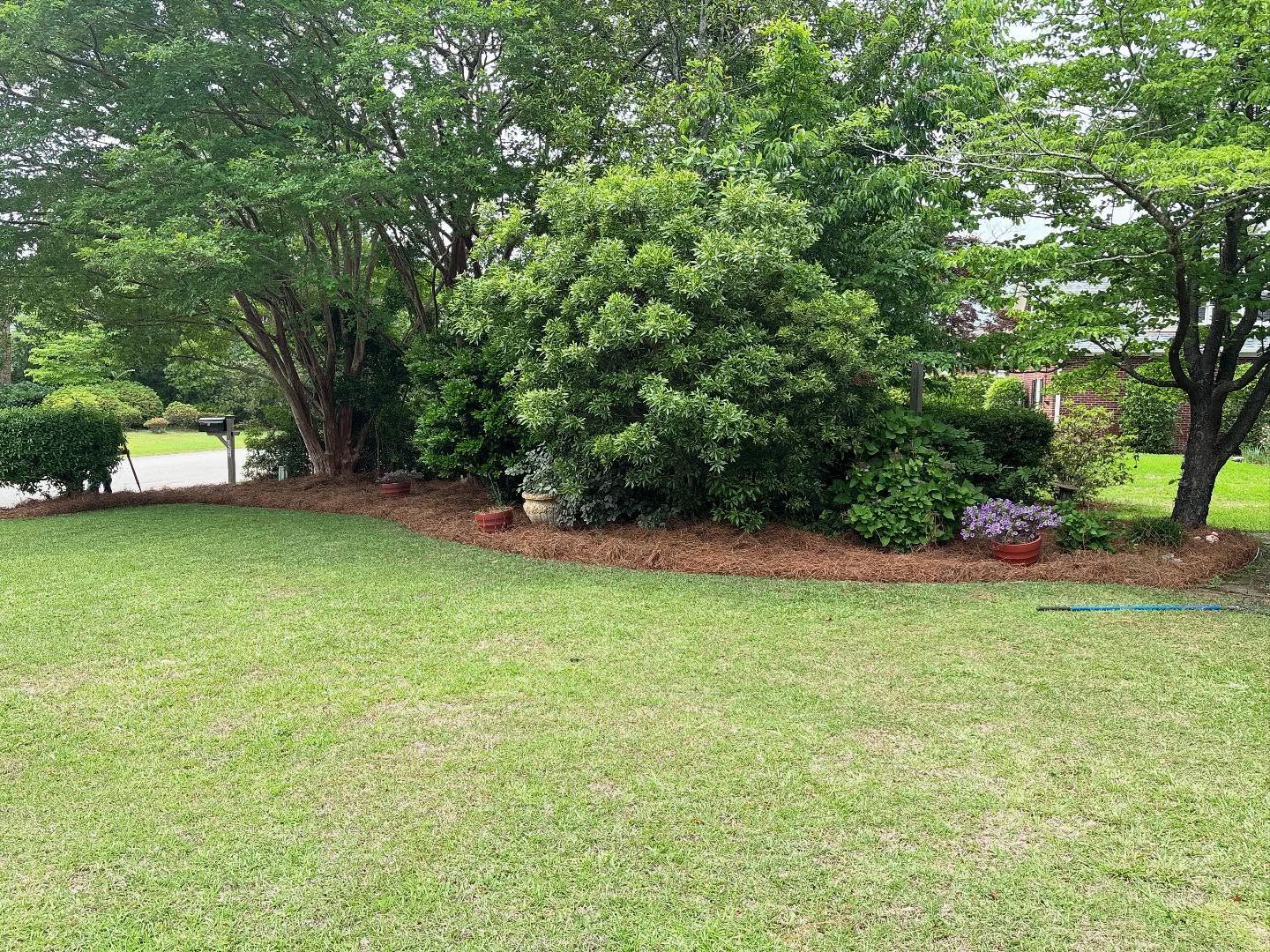 Recent pinestraw jobs