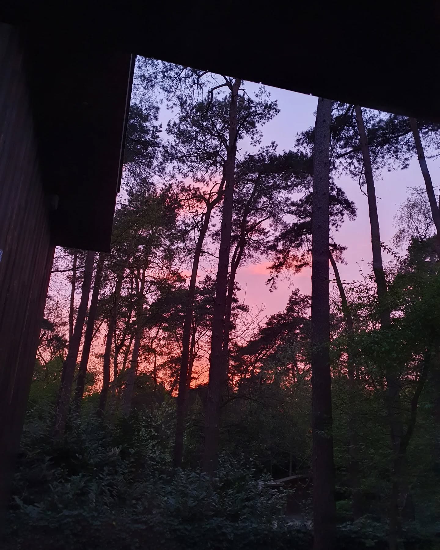 Cadeautje van de lucht. 💛🧡💜
#geenfilter