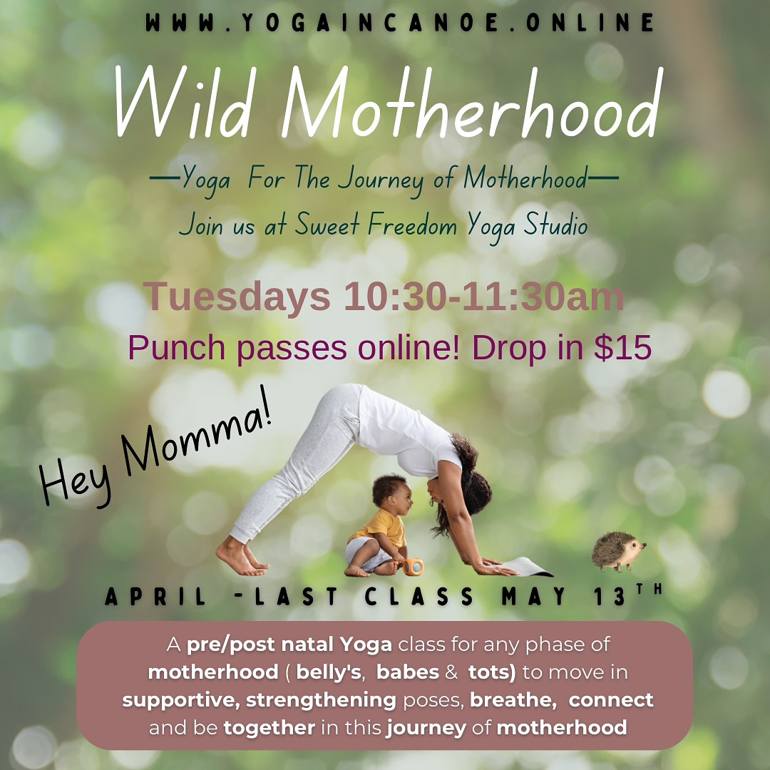 Hey Momma! Wild Motherhood Yoga Series🌞
Tuesdays | April to May 13th
10:30 AM – 11:30 AM | Sweet Freedom Yoga Studio✨
Mamas, you don’t have to do it alone.
Join us every Tuesday morning for Wild Motherhood Yoga—a gentle, supportive yoga class designed for both pre- and postnatal mothers. Come move your body, breathe deeply, and feel held in a circle of women walking the same path of motherhood.
Whether you’re expecting, newly postpartum, or juggling a toddler on your mat, this class is for you.
Bring your baby, your stroller, your tired heart—and come as you are. Let’s stretch, connect, and remind each other that we are never alone in this journey.
Drop in. Move. Be seen. Be supported.
Together, we build the village.
#WildMotherhoodYoga
#MotherhoodInCommunity
#PostnatalYoga
#PrenatalYogaSupport
#YogaWithBaby
#MamaVillage
#YouAreNotAlone
#MatrescenceMatters
#MomLifeInFlow
#SweetFreedomYoga