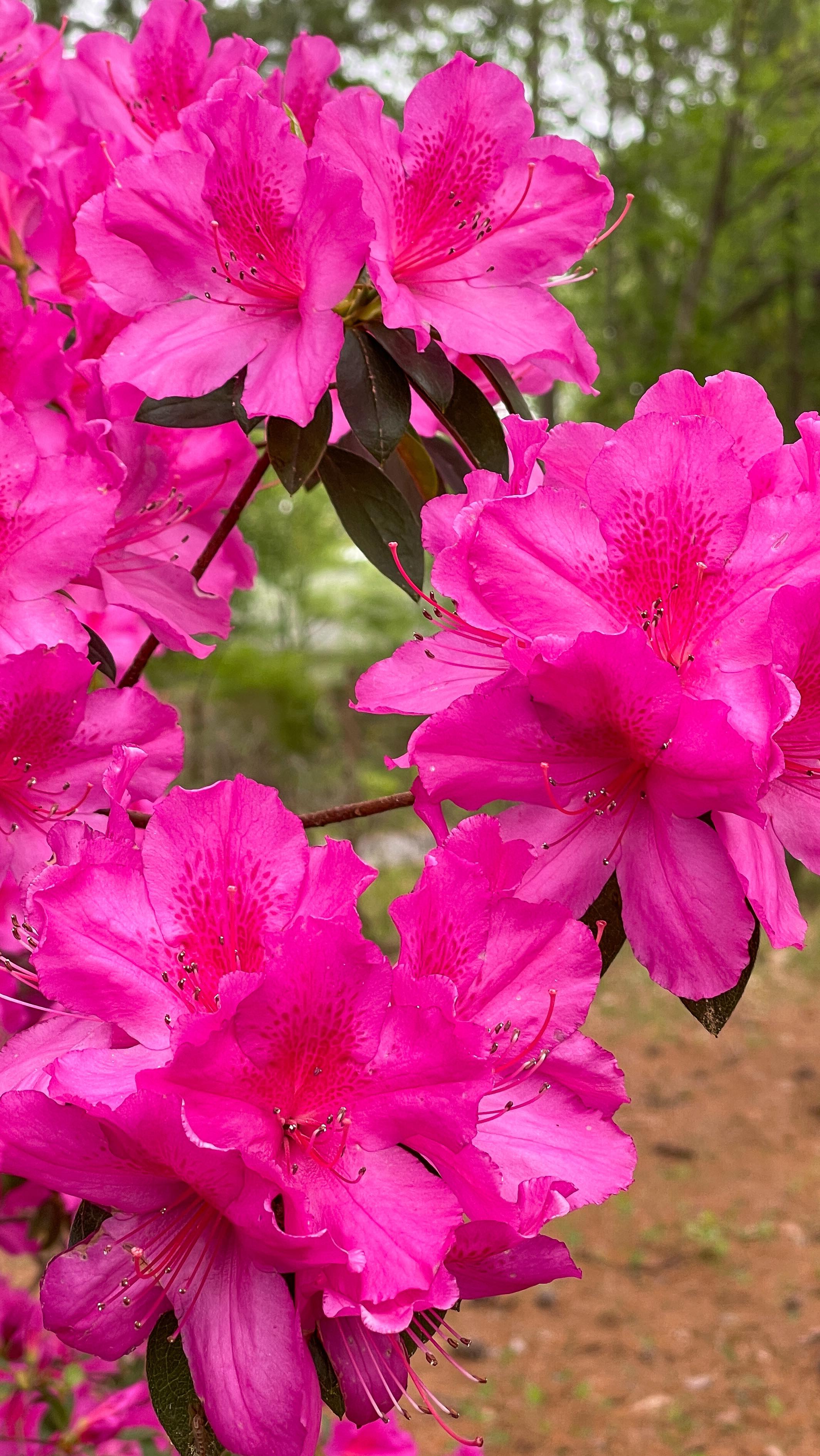 Come and already gone. šøšŗ