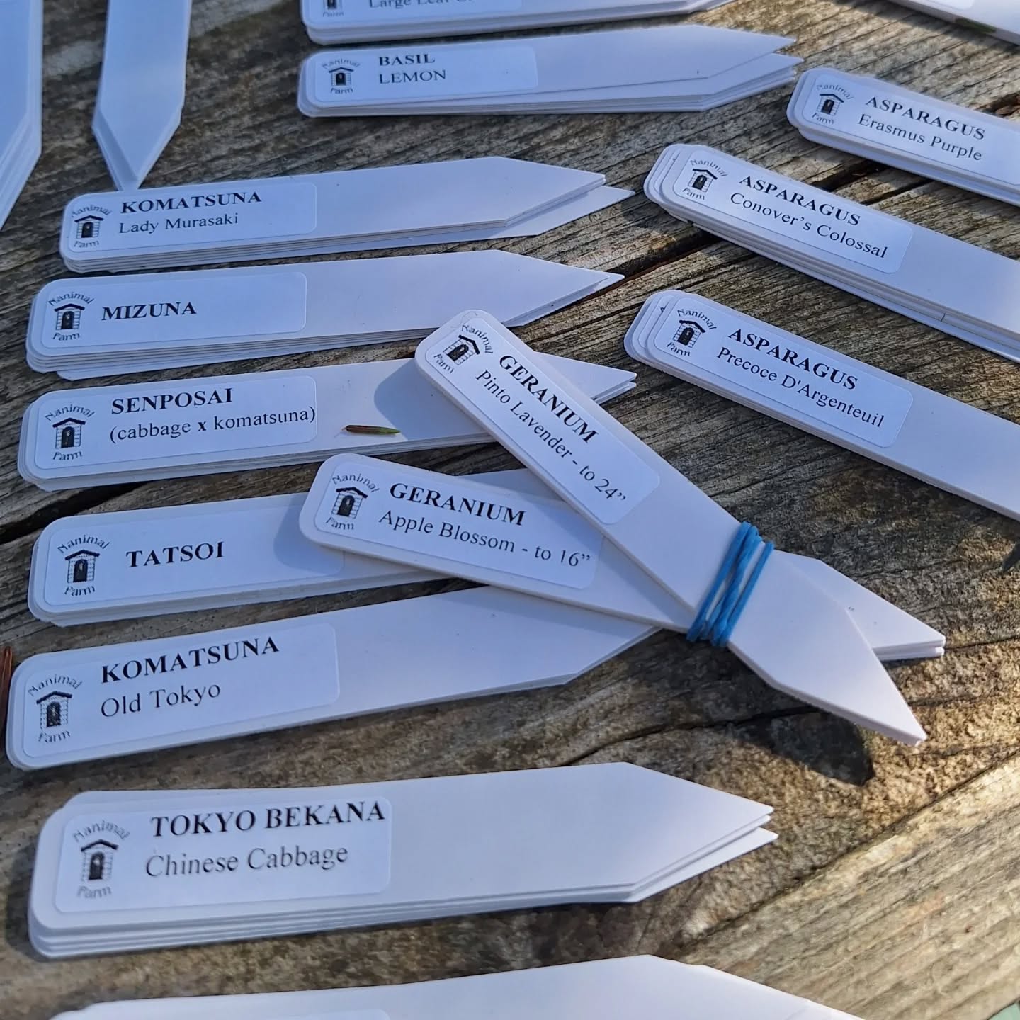 A lovely day for making plant labels outside, as market season draws closer!
I do feel lucky to live at Nanimal Farm. ❤️
.
.
.
.
#seedlings #mainefarming #mainefarmersmarkets #mainegrown #womanfarmer #sustainablefarming