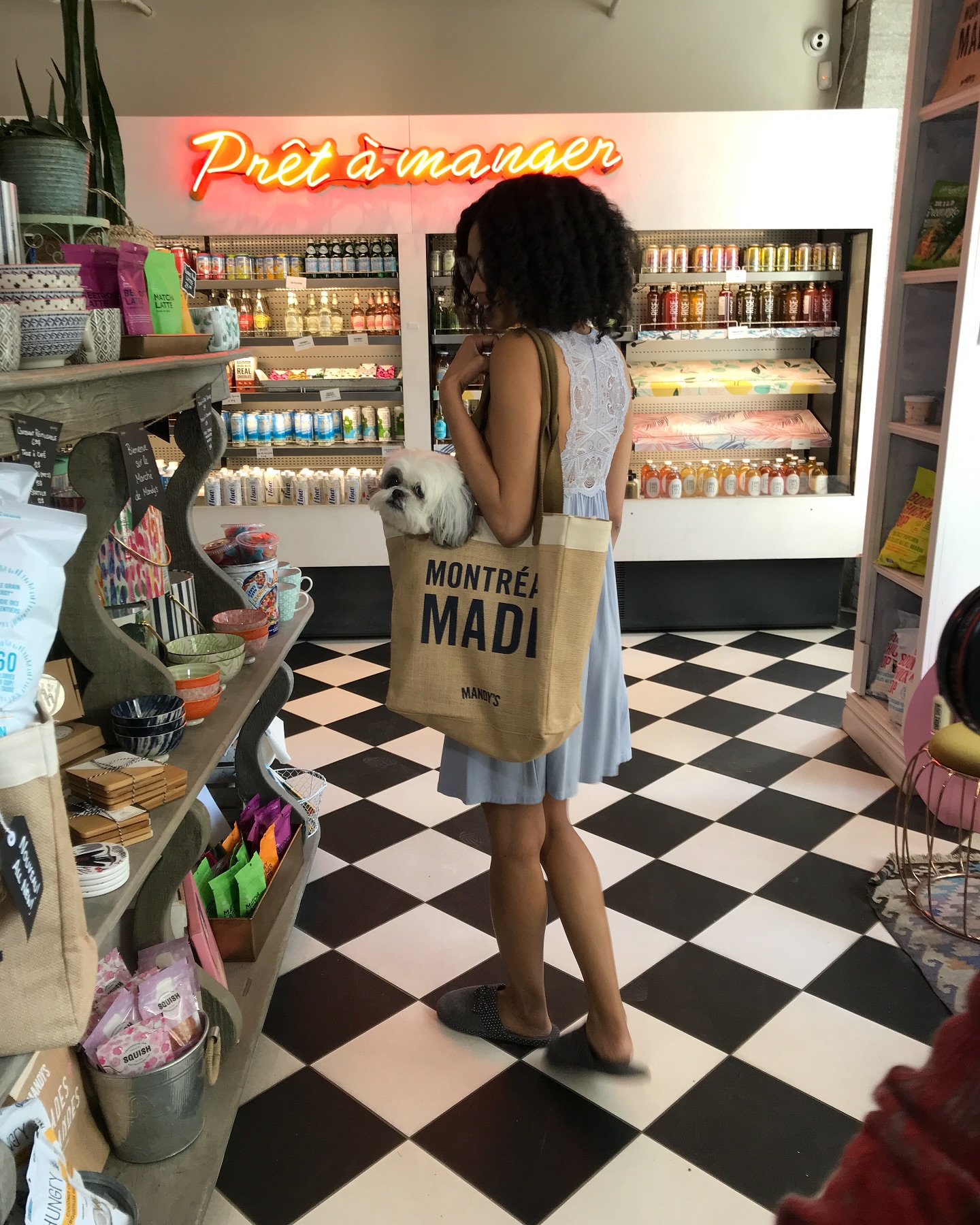 That time we did a lingerie shoot at @mandysalads and I obvi had to include @itsmimitheshihtzu
#artdirection #creativedirection #fashionmarketing #contentcreation #socialmedia #forthegram