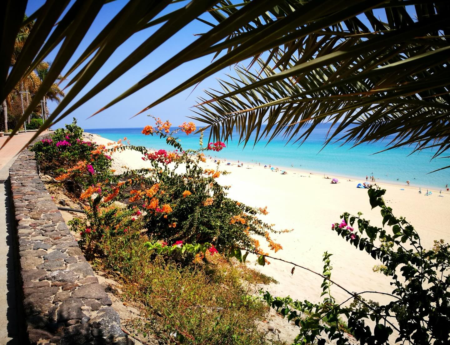 #spagna🇪🇸 #españa #fuerteventura #canaryislands🌴 #islascanarias #canarie
