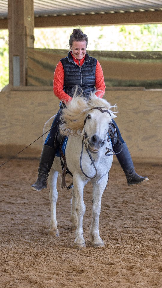 Einmal mehr durfte ich eine wunderbare Zeit mit so vielen engagierten und feinen Reitern verbringen, mit Freude unterrichten und mich mit euch über eure Fortschritte freuen!! 🥰
#horsetraining #horseriding #lusitanosofinstagram #horsesofinstagram #ilovemyjob #taunus #frankfurt #workingermany #workingequitation #islandpferd #gaitedhorse #younghorse