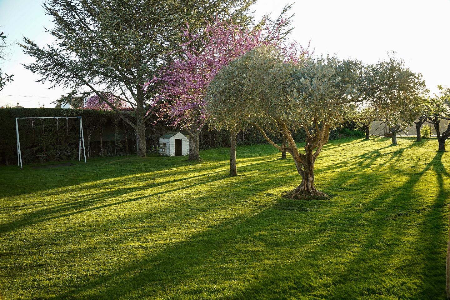 Golden hour 🌸🌺✨
#amigos #rural #casarural #navarra #familia