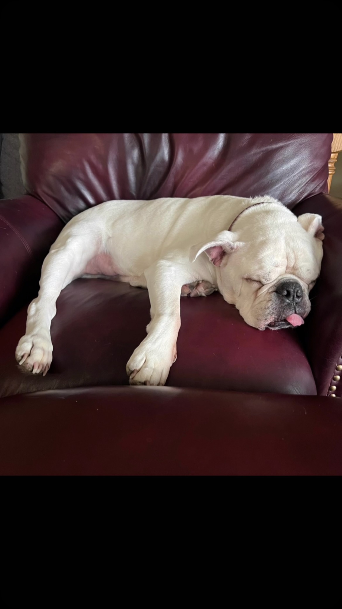Sunday Funday 😴