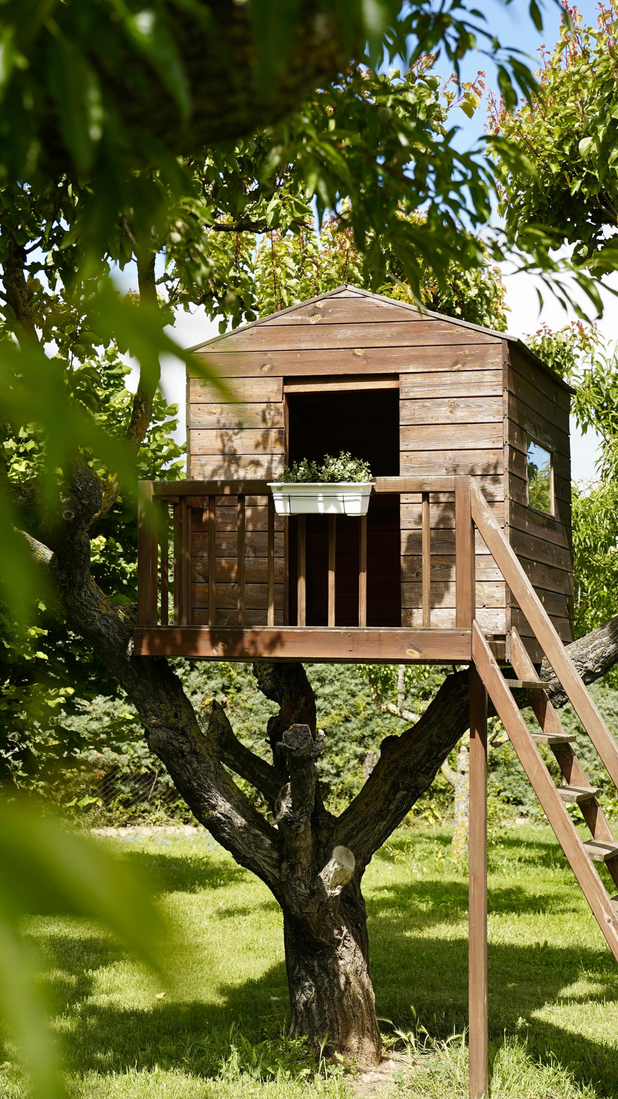 La primavera ya llegó a el Jardín de Muruzábal🌺🌸
#primavera #casarural #navarra #turismo #amigos #familia