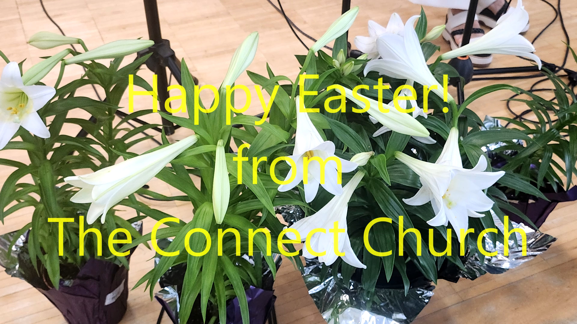 The Connect Church celebrates Easter!
Please see TCC Kids, Youth, Young Adult, and TCC main web page for the full performance videos.
The Connect Church (커넥트교회)
https://www.theconnectnc.church/
Connect Young Adult
https://www.theconnectnc.church/young-adult
Connect Youth
https://www.theconnectnc.church/connect-youth
Connect Kids
https://www.theconnectnc.church/connect-kids