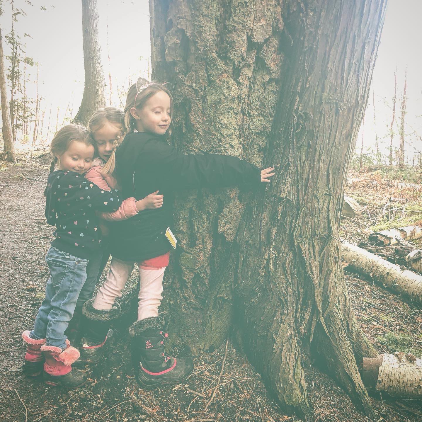 Blessings to the earth today and everyday ✨🌎
Hope you found time to hug a tree today and say “hello old friend” 🌲
#earthday #blessed #earthlings #thankyou #gratitude