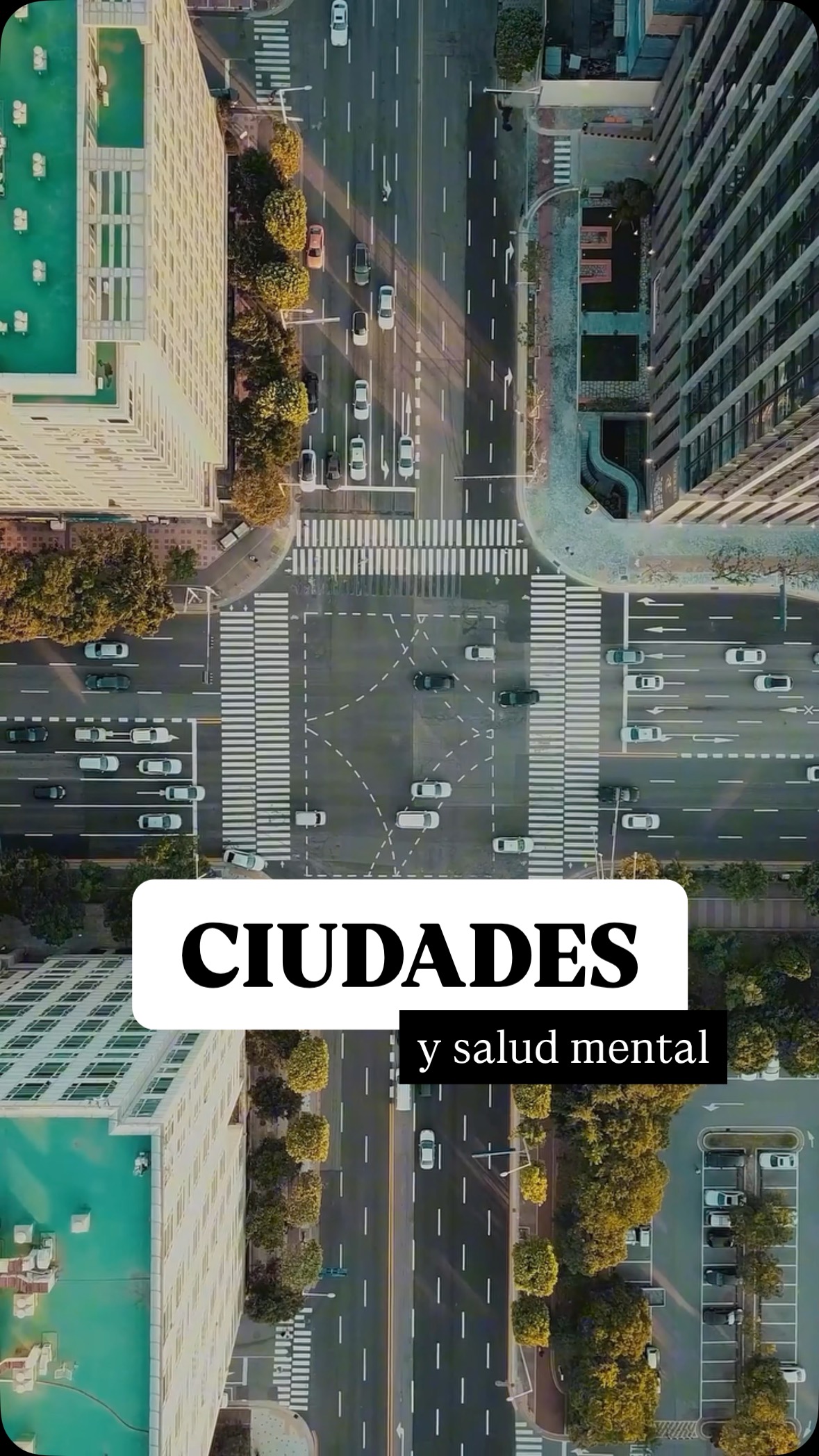 ¿Por qué nos sentimos agobiados en algunas ciudades? 👀
#urbanismo #DesarrolloUrbano #Ciudades #arquitectura #planificacionurbana #planeacionurbana #infraestructura #curiosidades #saludmental #cities