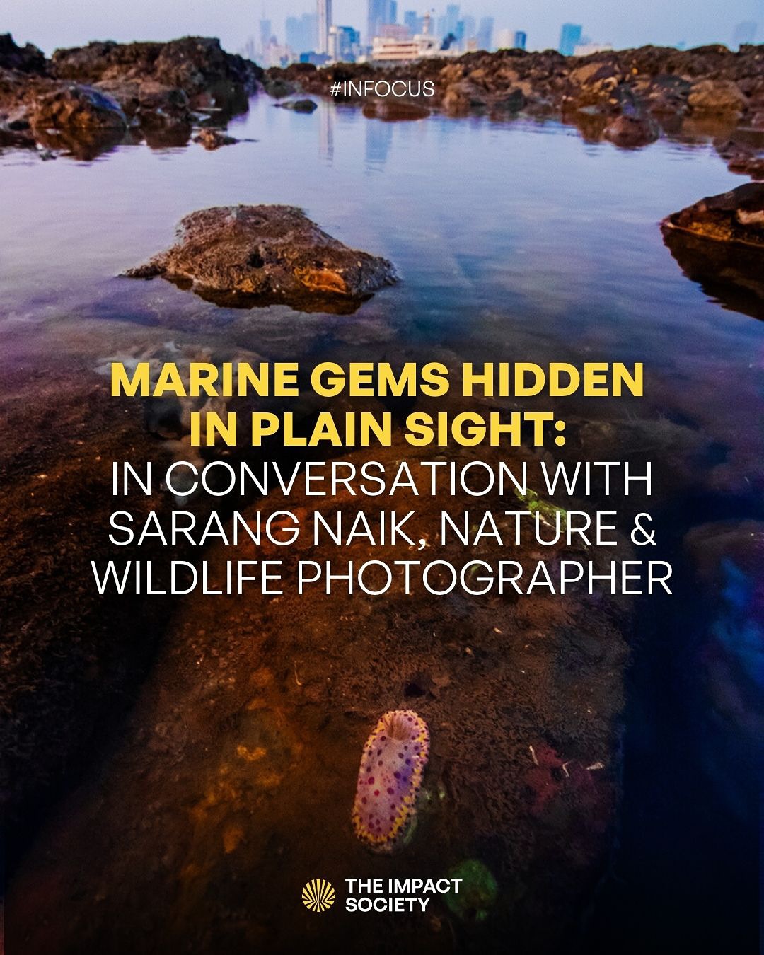 A coral garden hidden in plain sight; a sea slug that photosynthesises.
A crab fight, on a beach that you’ve spent hours catching sunsets.
In a city that rarely slows down, @sarangnk90 captures moments most of us walk past— rich marine life thriving between the corals & the concrete.
And he’s not alone. @marinelifeofmumbai is building a whole community around discovering and protecting this rich, often-overlooked coastal biodiversity.
👉 Dive into Sarang’s work. You’ll never look at Mumbai’s shores the same way again.
#ConservationInTheCity #MumbaiMarineLife #OceanStories #TheImpactSociety #WildlifePhotography #HiddenMumbai #photography #storytelling #visualdocumentation
