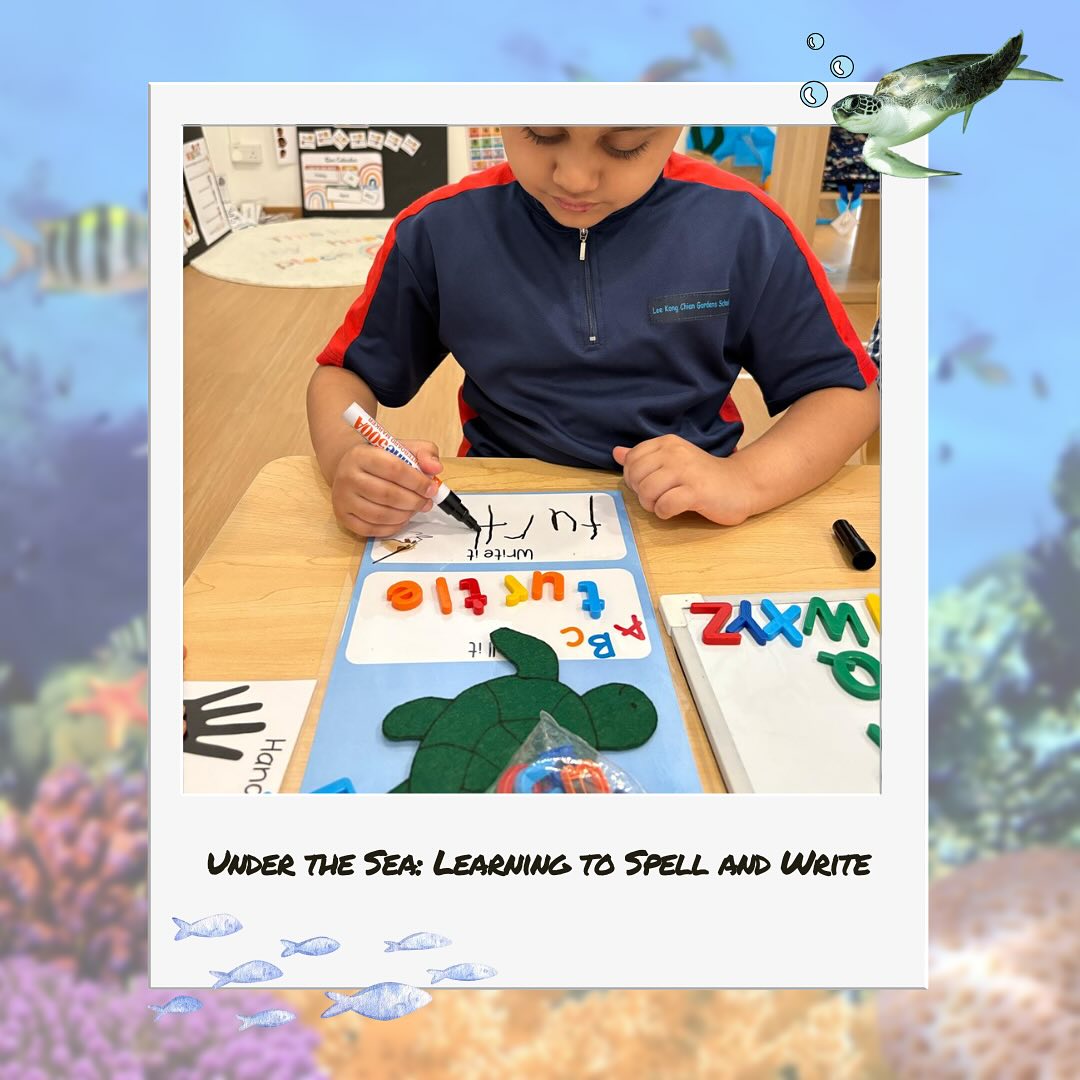 From magnetic letters to handwritten words — learning to spell and write is a beautiful journey! 🌊🐢
#earlyliteracy #tinystepsbigdream #littlefootsg