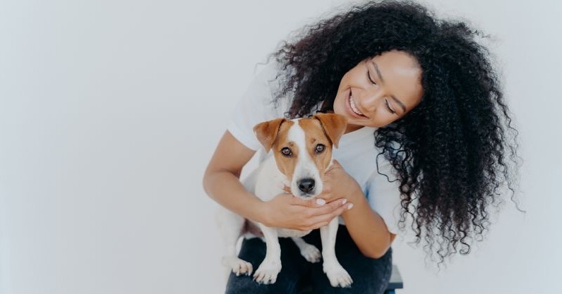 Advancements in human medicine often influence veterinary pharmaceuticals, leading to innovative treatment approaches. Bridging science for better health.