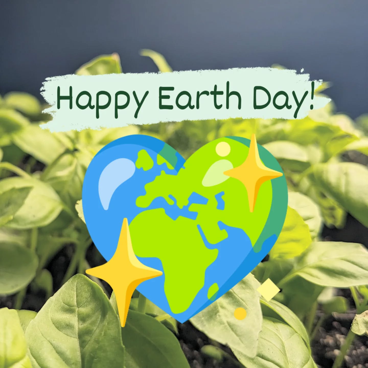 Happy Earth Day!! ๐๐
It's a perfect day to appreciate all the new growth happening this time of year ๐๐
.
.
.
.
#earthday #herbs #planttherapy #horticulturaltherapy