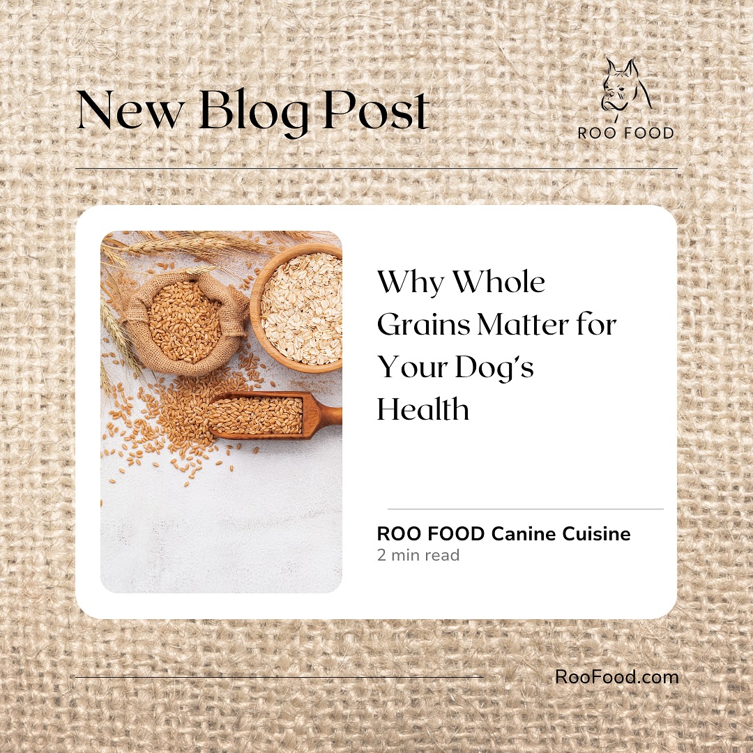 Is your dog’s diet missing the key to lifelong wellness? Discover how real ingredients and balanced nutrition create lasting health from the inside out. Read the full blog today!
https://www.roofood.com/post/whole-grains-for-dogs
#DogNutrition #RealFoodForDogs #HealthyDogDiet #HolisticPetCare #DogWellnessJourney #FeedRealNotProcessed #RooFood