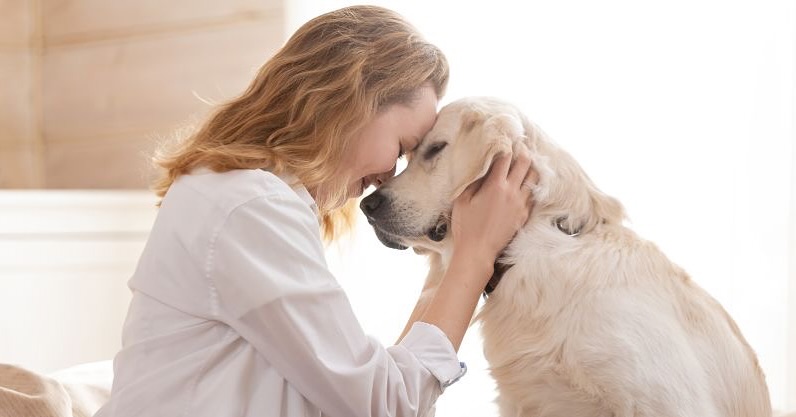As pet ownership rises, so does the need for accessible and effective veterinary treatments. Expanding availability to meet growing demand.
