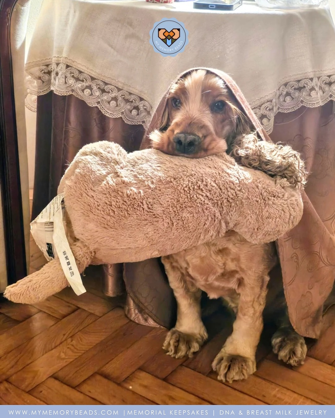 Each keepsake we produce carries the love and memories of your cherished ones, and knowing that we’ve been able to help in any small way inspires us to keep going.
Thank you for trusting us and sharing your experiences from the heart.
Thank you Andrea for entrusting us with your keepsake and for your heartfelt review ❤️ Thank you for giving us the fuel to continue doing what we do ❤️
🎐
Crafted with care and personalized just for you, these keepsakes honor their memory in a way that reflects the life they lived and the joy they brought to yours.
Keepsakes made with Italian Glass & Jewellery Resin.
Cremation Ashes | Breast Milk | IVF Straws | Umbilical Cords | Fur | Hair | Soil | Flowers | Blood & So Much More 🪴
©️ Copyright My Memory Beads. All Rights Reserved.
#MemorialKeepsakesMalaysia #petashesjewellerymy #petashesjewelrymalaysia #memorialkeepsakesMY #keepsakesmy #petashesjewelrysingapore #宠物纪念品 #宠物毛发珠子品手工 定制 #宠物纪念品 #宠物饰品
#宠物礼物 #petashespendantsg #宠物毛发马来西亚#petashespendantmalaysia #宠物纪念系列马来西亚
#KeepsakesMalaysia #MemorialKeepsakesSingapore #memorialkeepsakesSG #keepsakessg
#宠物纪念首饰马来西亚 #Keepsakessingapore #petfurjewellerymalaysia #petfurjewelrysingapore #cremationjewellerymalaysia #cremationjewelrysingapore #petexpomalaysia #petexpomalaysia2025 #petexposingapore #singaporepetfestival2025 #宠物毛发珠宝马来西亚#rememberinglovedonesmalaysia