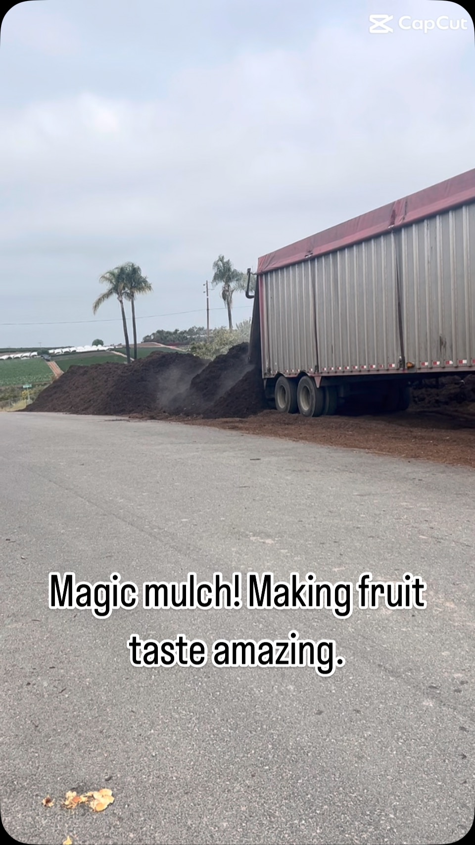 🌱 Gratitude Grows Here! 🌱
A big thank you to Oceanside Waste Management for the generous gift of beautiful organic mulch! This nutrient-rich layer is already feeding our orchard and setting the stage for a vibrant, fruitful season ahead. 🌳🍊
We love seeing sustainability in action—turning green waste into green growth! ♻️💚
#WasteManagementOceansideCA #OrganicMulch #SoCalGrown #SustainableFarming #CommunitySupport #GratefulGrowers #OceansideCA #FarmLife