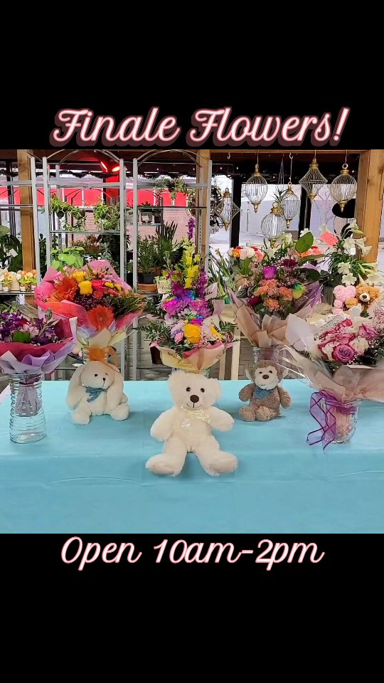 We're open today!! 😁 Come on in and get some finale flowers before the show! 💐
10am-2pm
#dancinwithdarcie #dancerecital #flowerchildfloral #shoplocalmn #internationalfalls #flowershop
